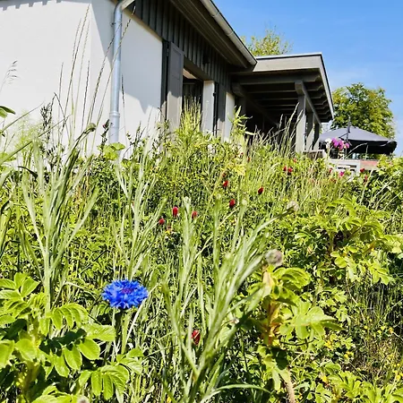 Bodden Hus 27 Klein Stresow Ruegen By Ruyastay